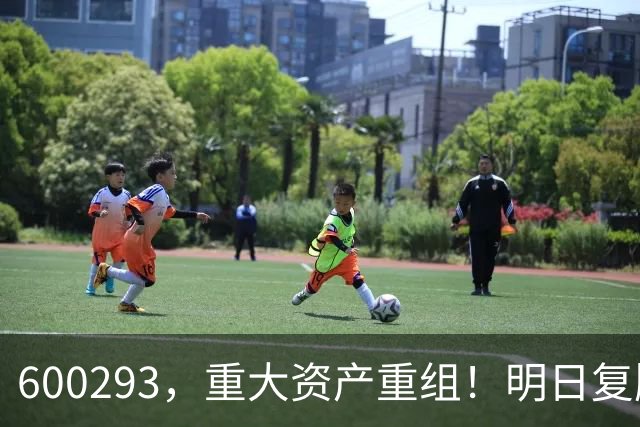600293，重大资产重组！明日复牌